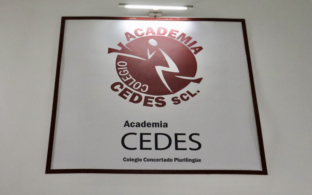 Fiesta fin de curso
