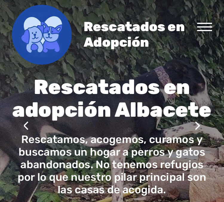 Donación para ayudar a los animales abandonados y maltratados